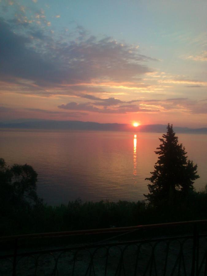 Apartment Corfu Bay Sea View 100m From The *
