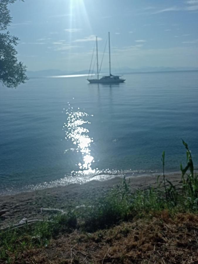 Corfu Bay Sea View 100m From The Apartment *